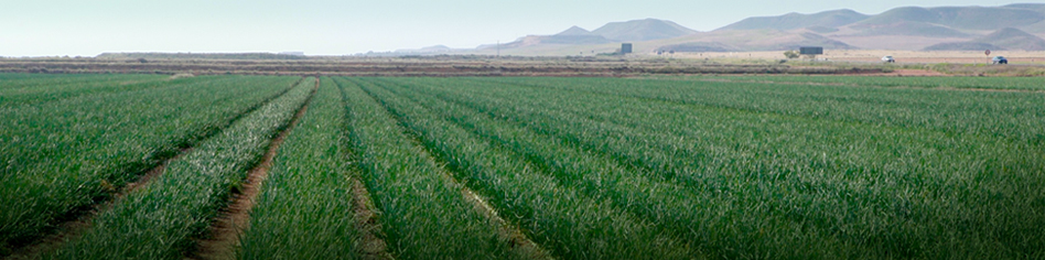 Nuestra empresa: Fuencampo