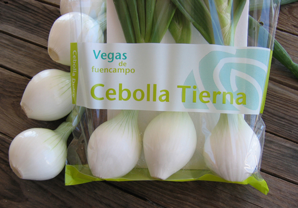 Cebolla Tierna